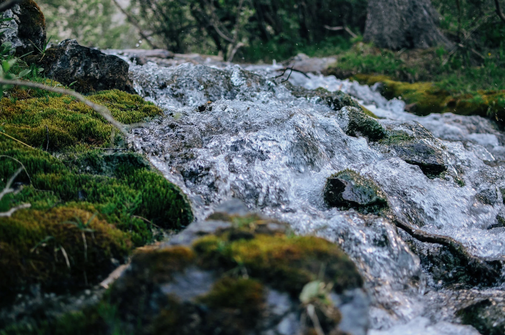 Klares Wasser fließt über moosbewachsene Steine in einem naturnahen Bachlauf im Eichsfeld.